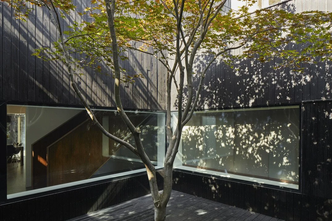 london-minimalist-timber-clad-modern-house-film-photo-shoot-location-unique-venue-hire-garden-acer-tree.jpg