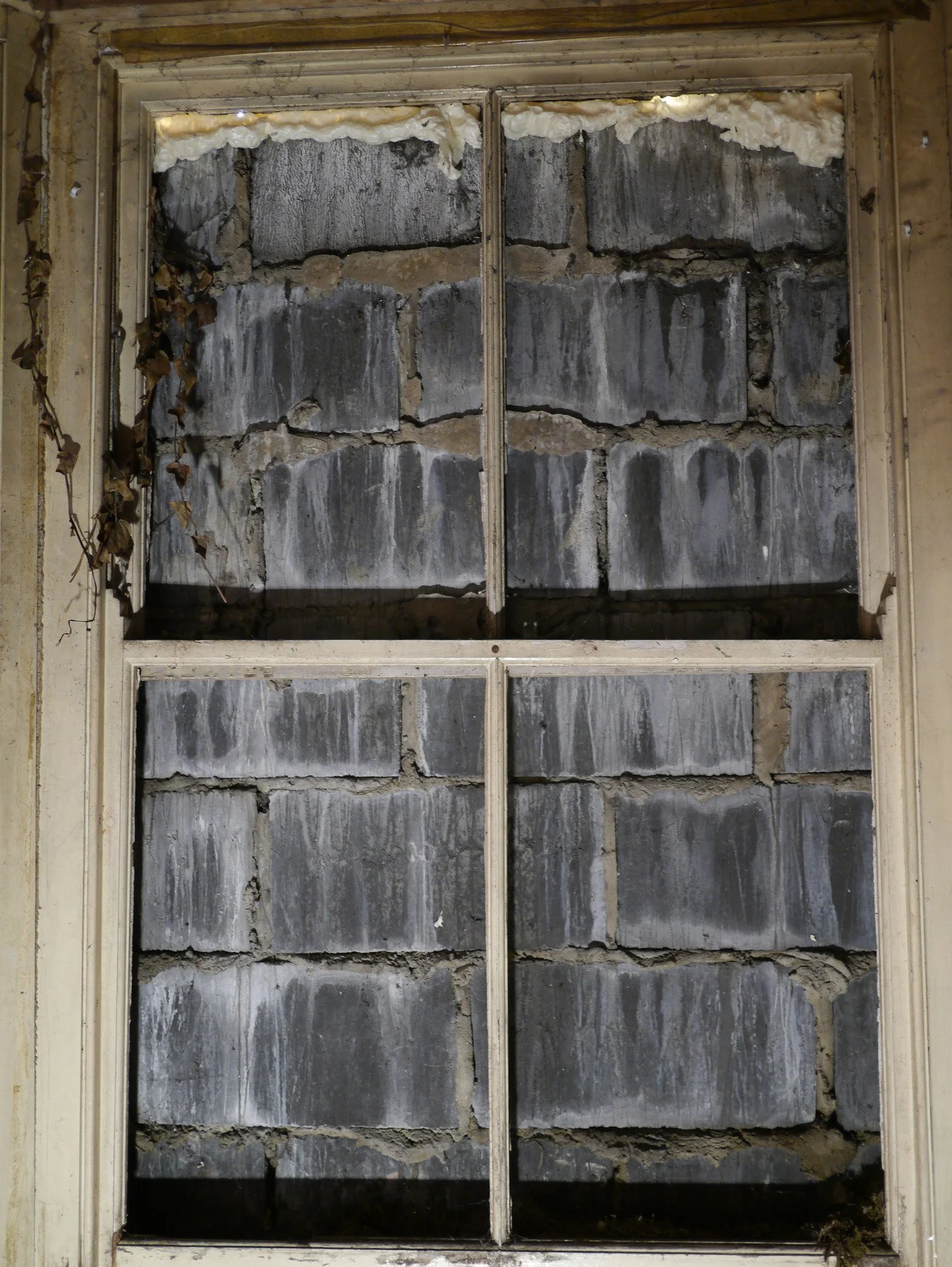 london-dilapidated-victorian-property-double-height-location-film-photo-shoot-hire-sash-window-ivy.jpg