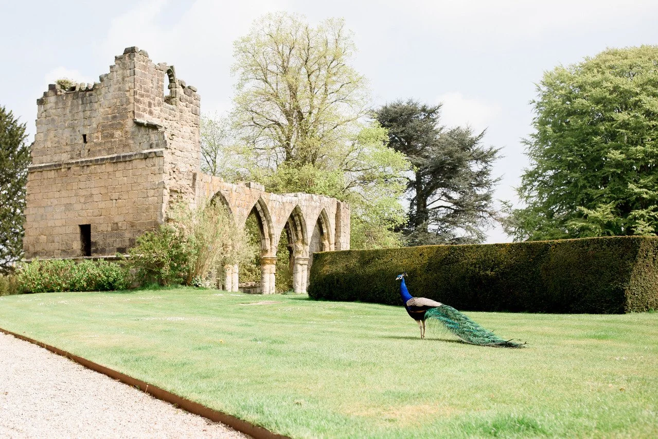 yorkshire-historic-georgian-stately-home-events-film-photo-shoot-location-hire-old-ruins.jpg