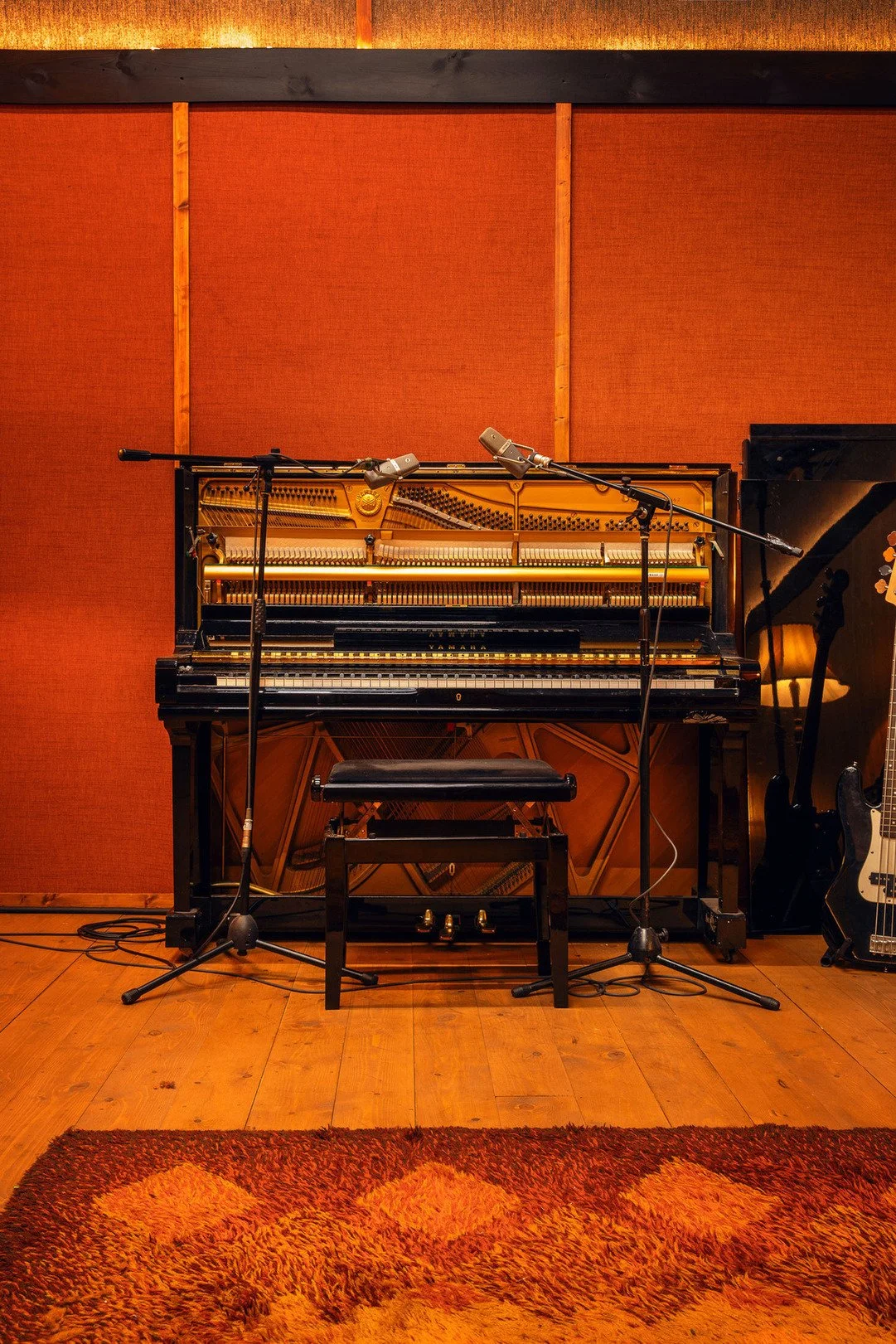 hire-a-london-professional-recording-studio-film-photo-shoot-location-microphones.jpg