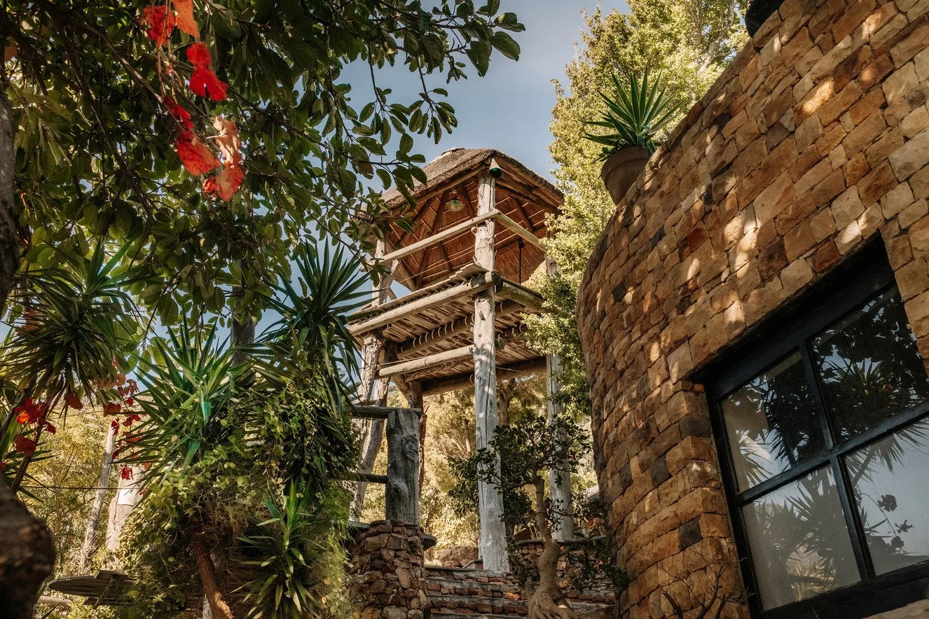hire-cape-town-tropical-wonderland-private-estate-film-shoot-location-palms (1).jpg