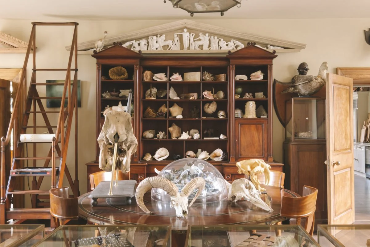 dorset-historic-tudor-regency-gothic-romance-estate-parkland-drawing-room-curiosities-shelf.jpg
