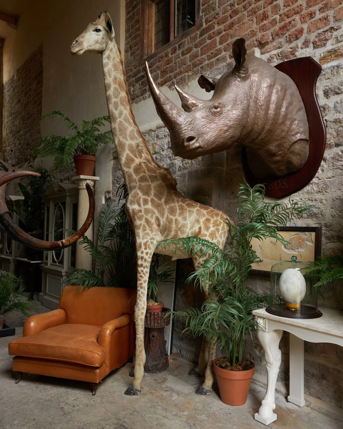 dorset-historic-tudor-regency-gothic-romance-estate-parkland-giraffe.jpg