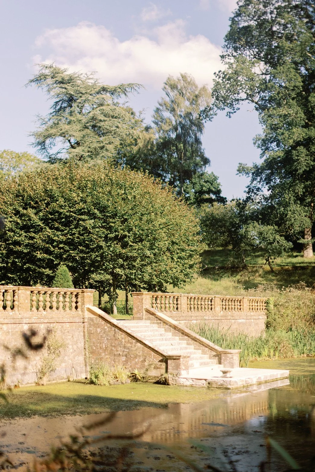 dorset-historic-tudor-regency-gothic-romance-estate-parkland-bushes.jpg