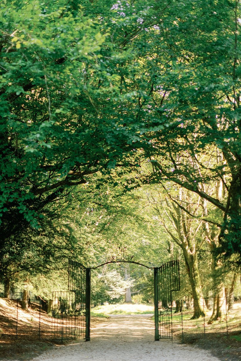 dorset-historic-tudor-regency-gothic-romance-estate-parkland-gates-trees.jpg