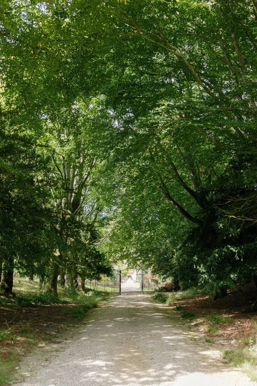 dorset-historic-tudor-regency-gothic-romance-estate-parkland-trees.jpg