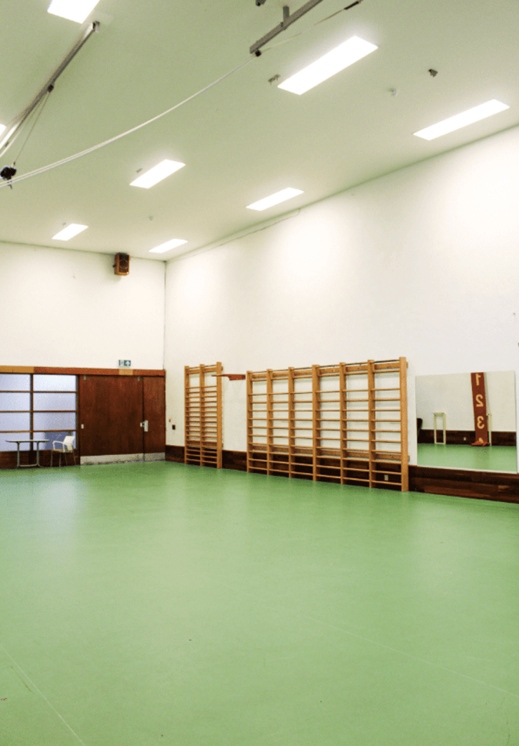 south-east-london-brutalist-sports-centre-filming-photoshoots-events-wooden-gym-ladders.png