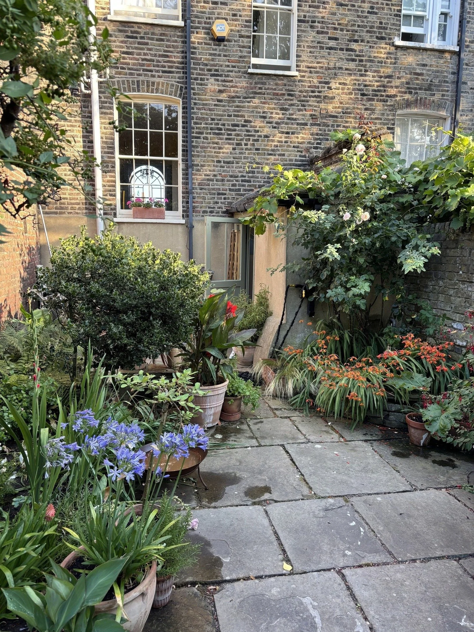 london-grade-ii-listed-georgian-townhouse-historic-period-interiors-filming-photoshoots-garden.jpg