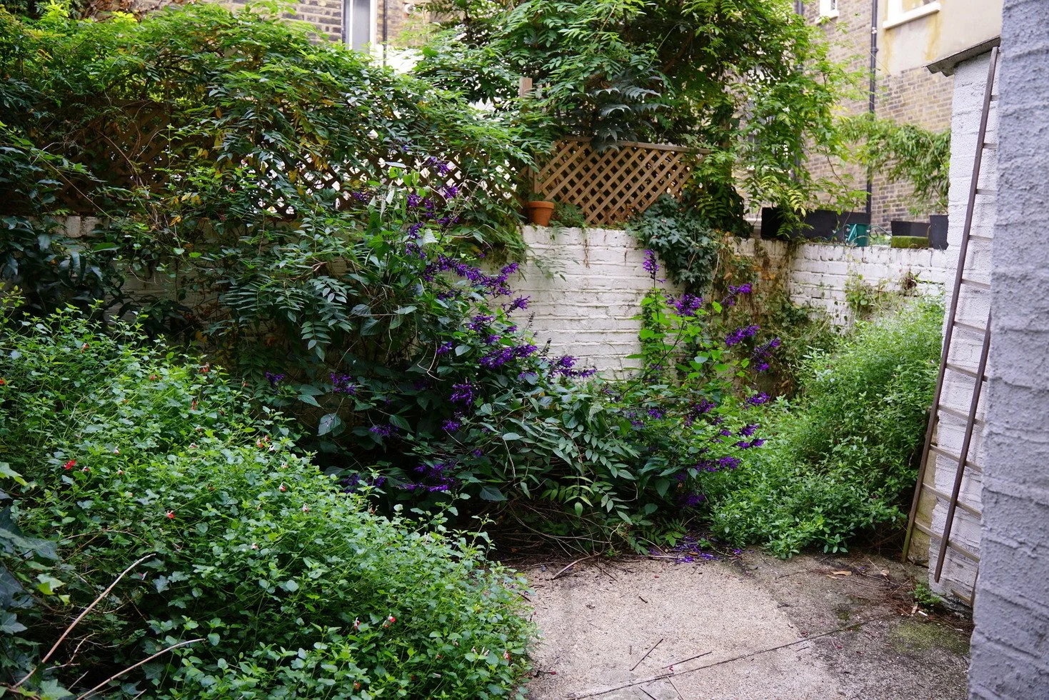 london-retro-distressed-white-stucco-terraced-house-unmodernised-filming-photoshoots-events-garden.jpg