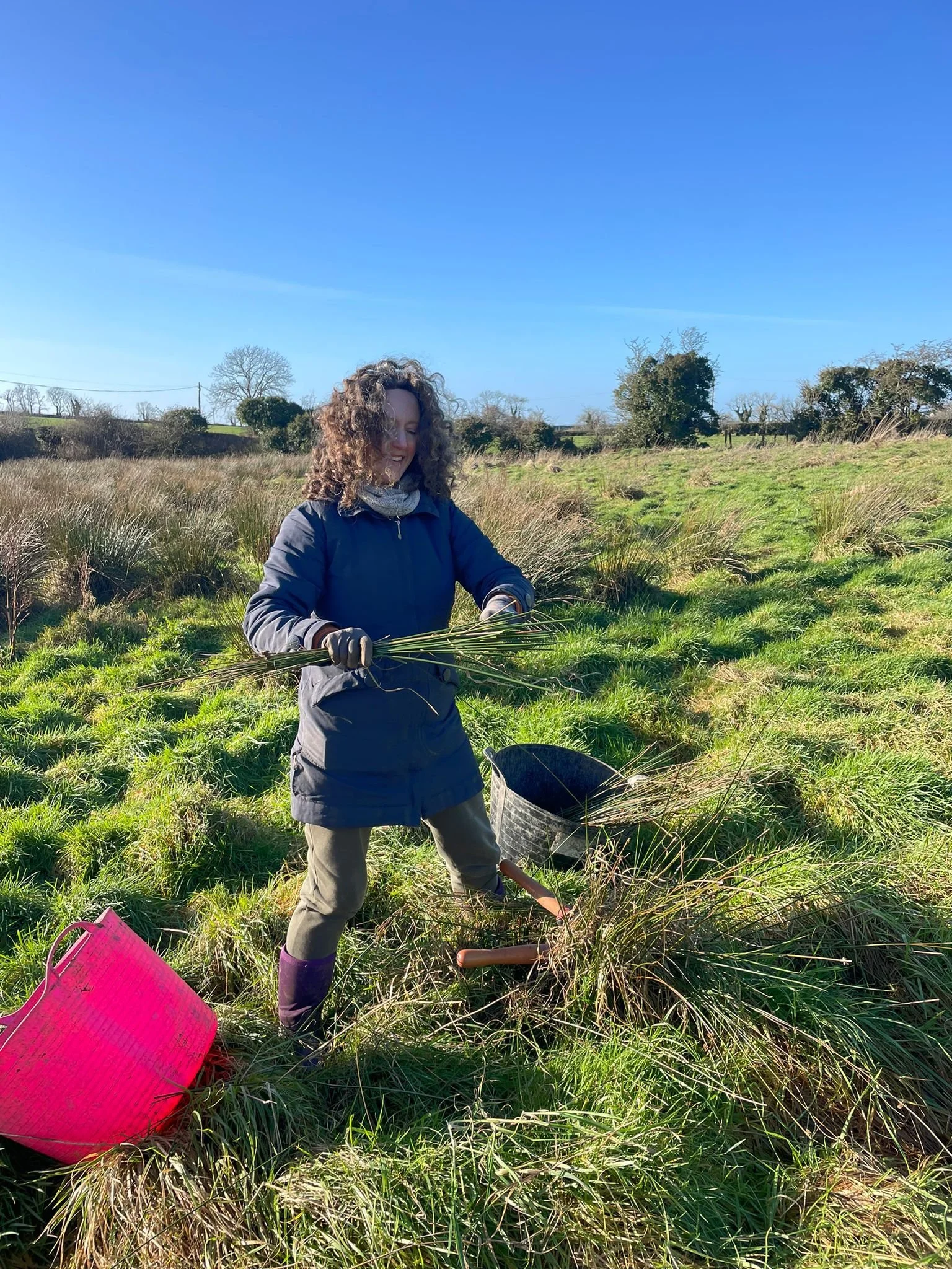 Sowing Seeds and Weaving Rushes — Laurelbank Farm