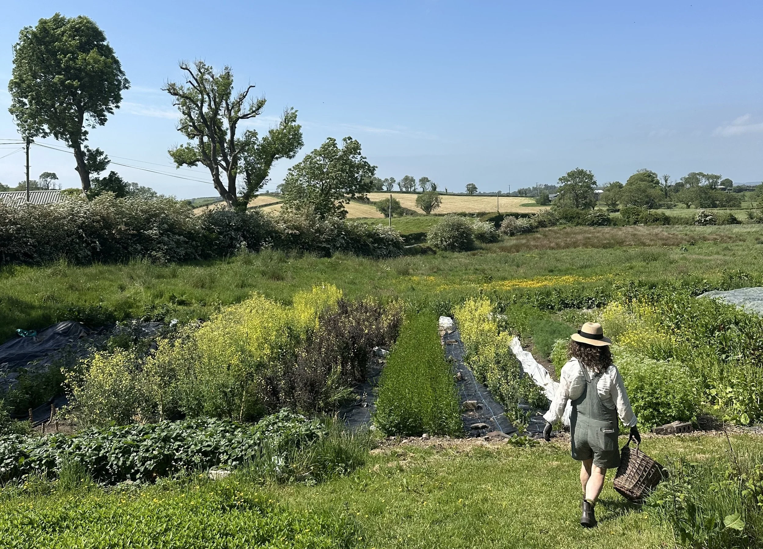 Sunday Sessions @ Laurelbank Farm
