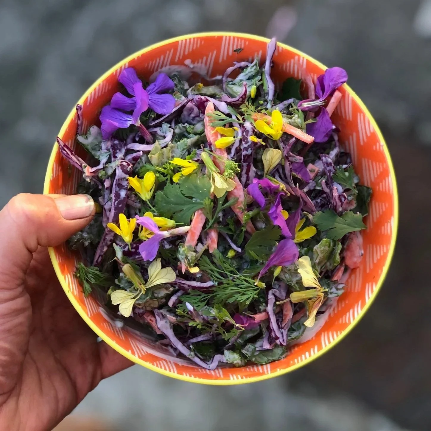 Red Cabbage Slaw with Fresh Oregano