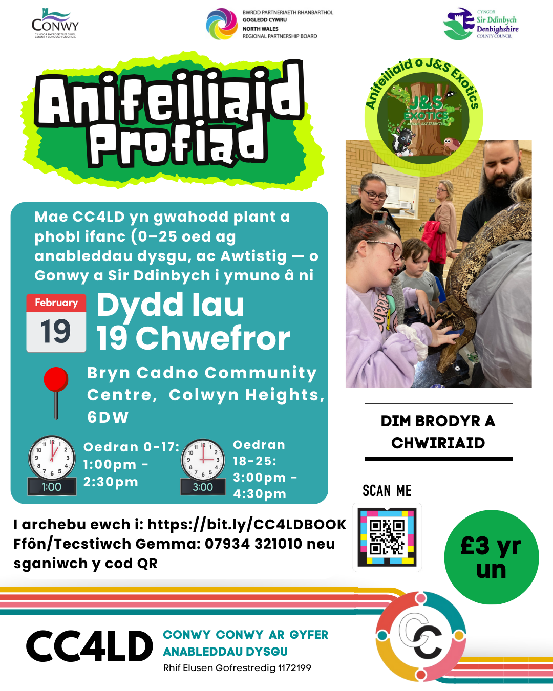 🐍🦎 Profiad Anifeiliaid Anhygoel! 🐢🦜