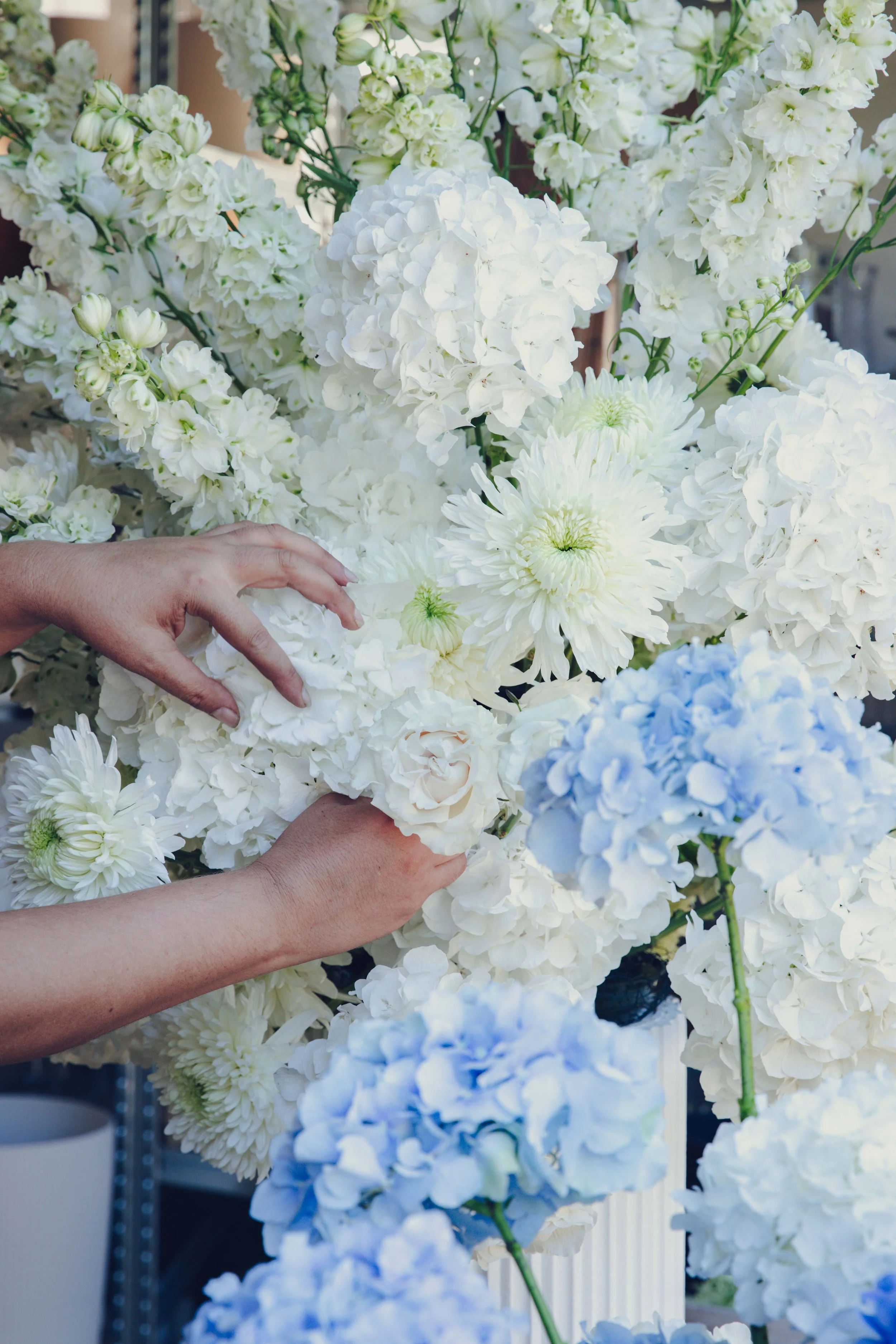 Hands arranging white hydrangea, stocks and chrysanthemums with pale blue hydrangea at the GRÖNT florist studio, Cannes