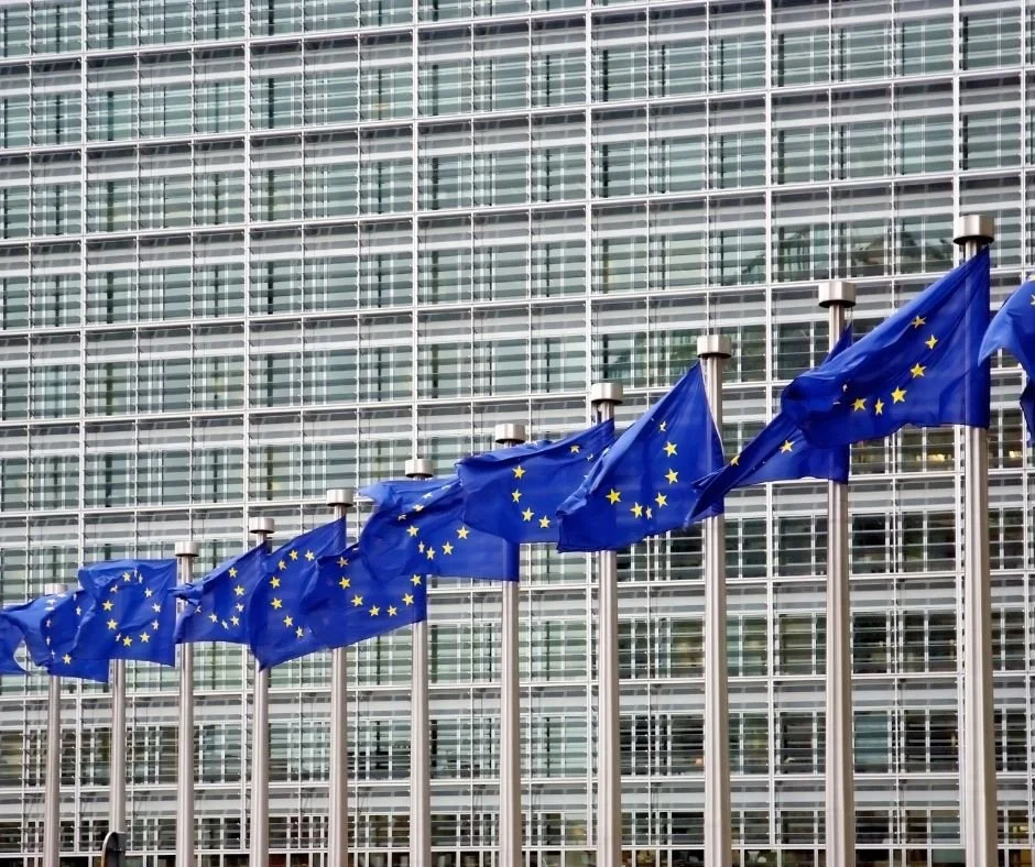 La Asociación DOM3 celebra la sentencia europea 