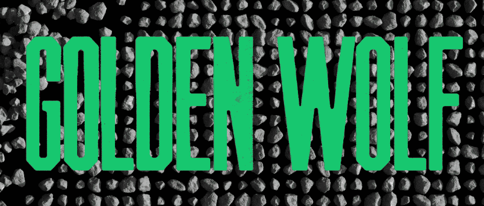 Green bold text reading 'GOLDEN WOLF' on a black background with small black rocks or pebbles.