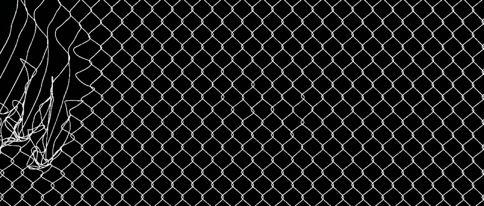 Close-up image of a chain-link fence with a black background.