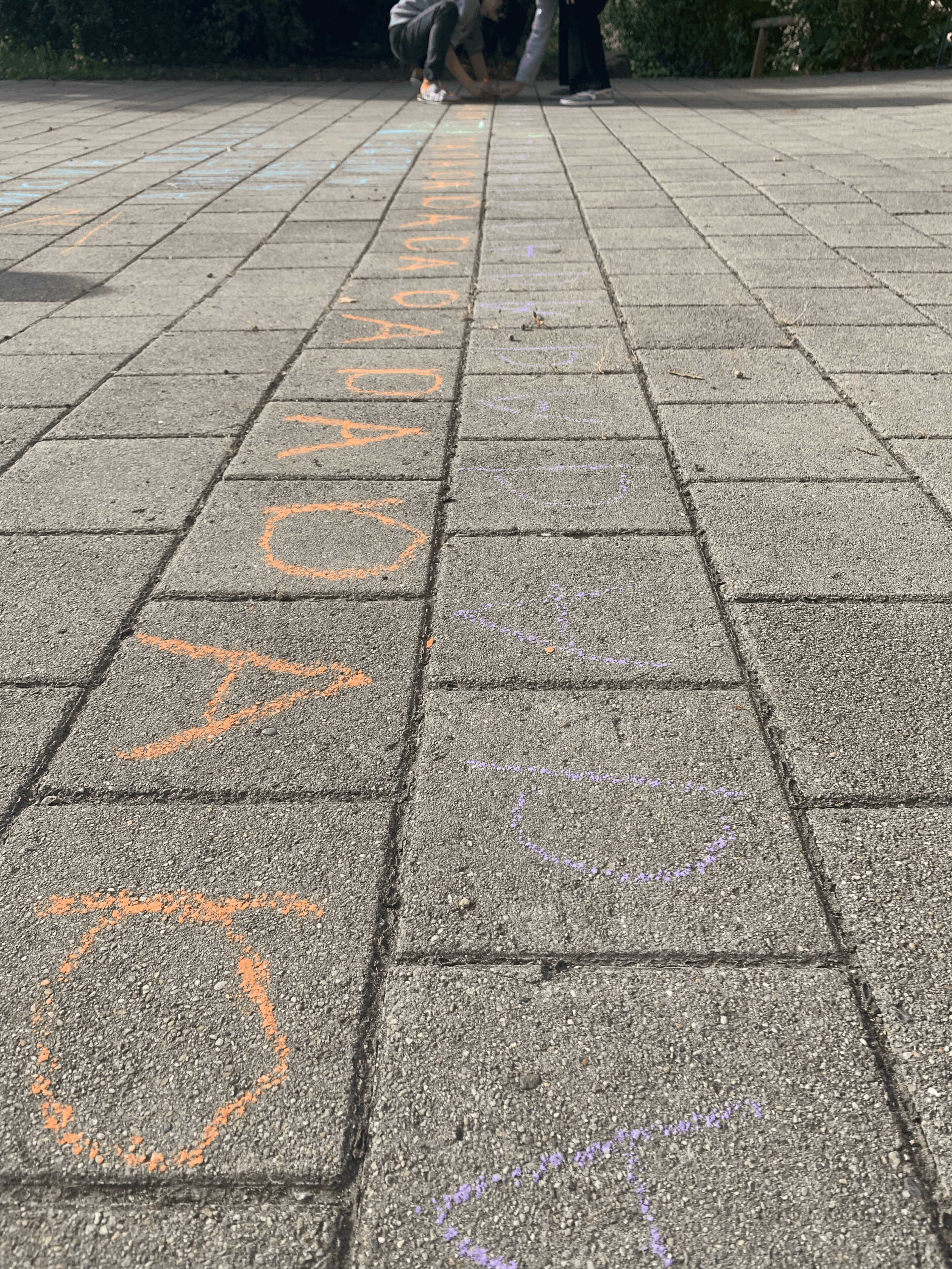 Foto des Tages