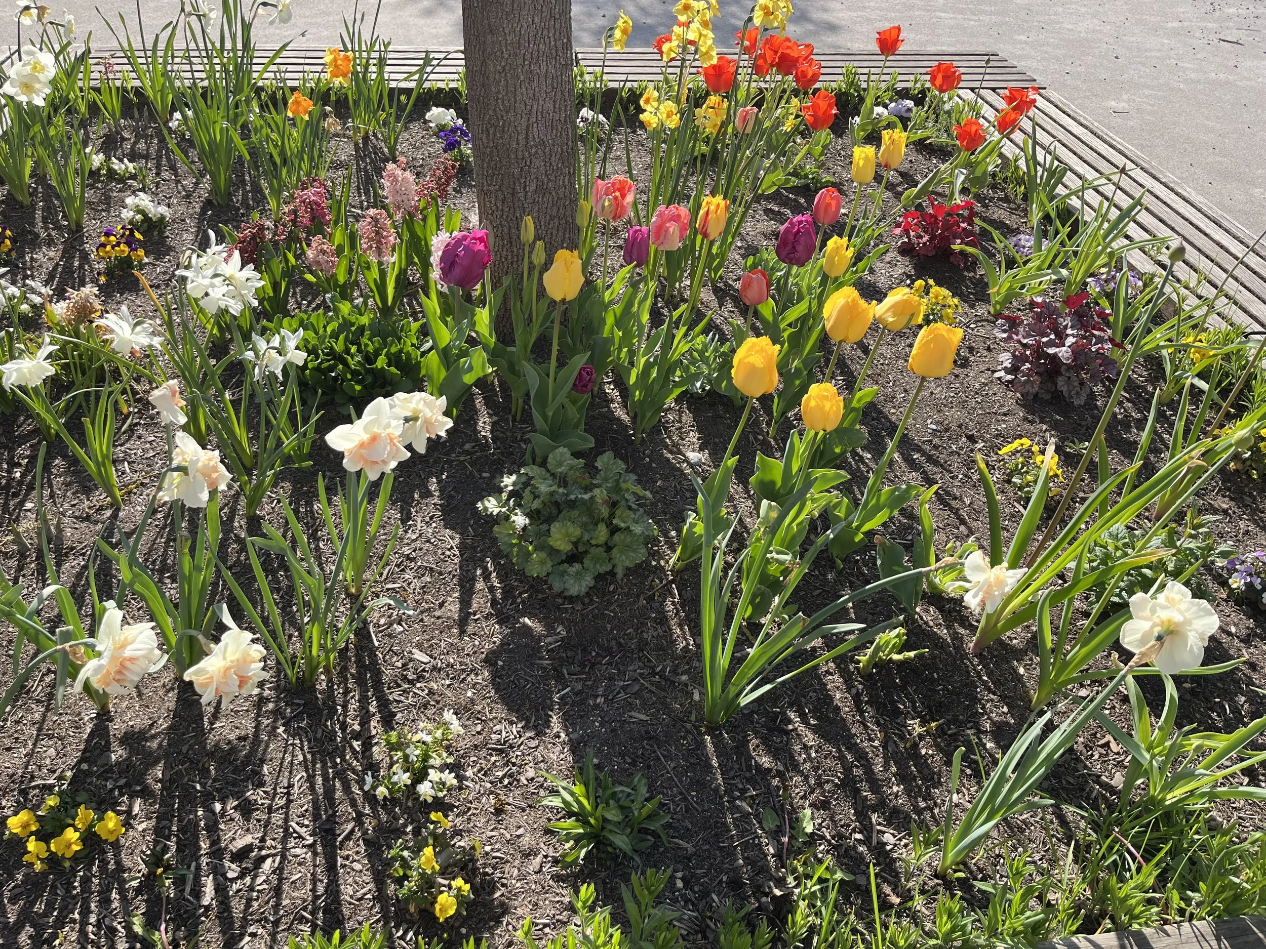 Der Frühling ist da!