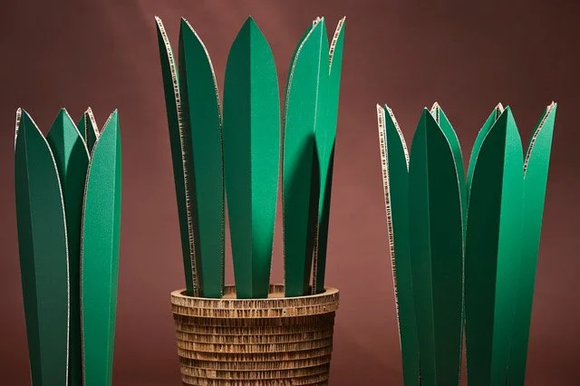 Cactus realizzati da Honeycomb Design.
info@honeycombdesign.it
www.honeycombdesign.it