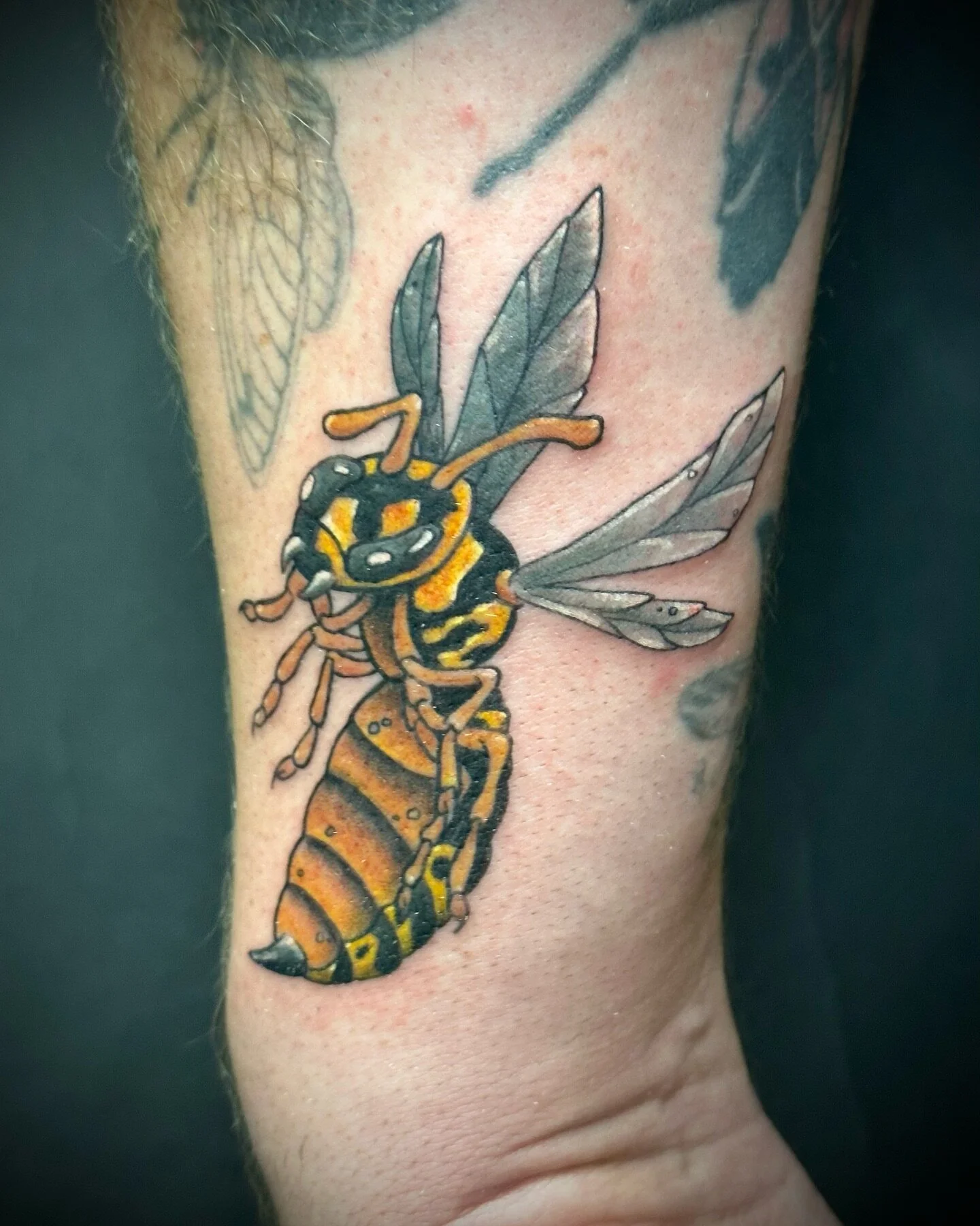 Wasp for a bugs collector ππͺ²πͺ³π¦
.
.
.
#tattoo #colortattoo #wasptattoo #wasp #insect #insecttattoo #reykjavik #iceland @kwadron @cheyenne_tattooequipment
