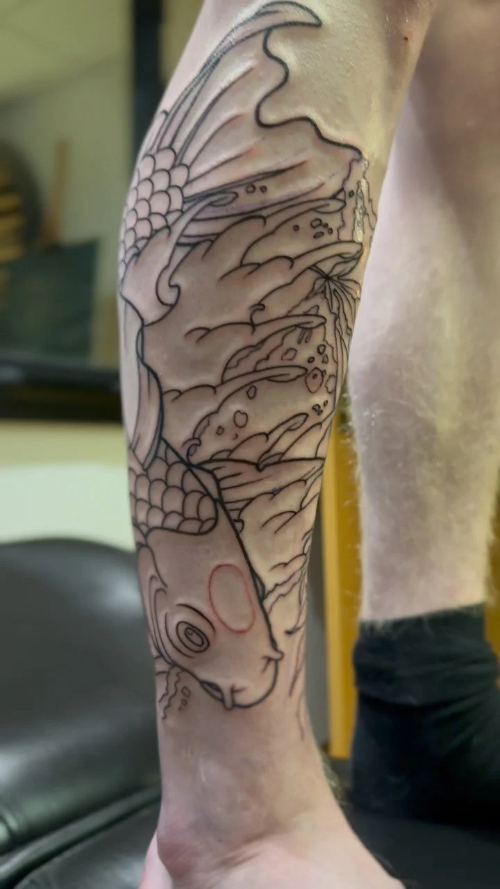 Koi fish lined π