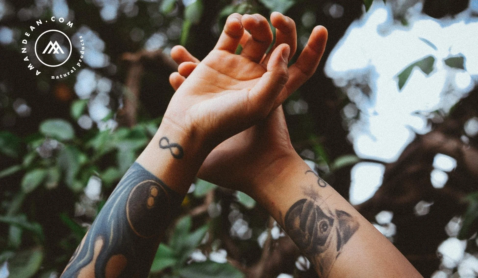 Close-up of two tattooed arms and hands reaching towards each other outdoors with green leaves and branches in the background.