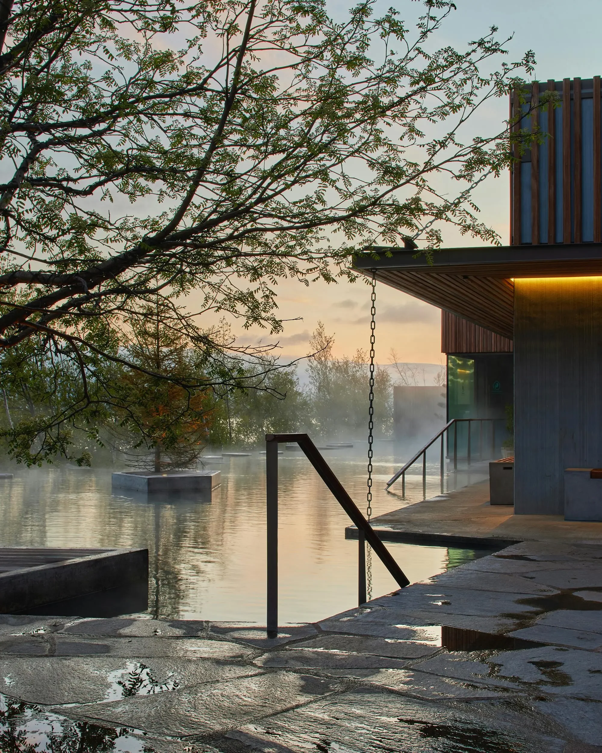 The Complete Guide to Forest Lagoon (Skógarböðin) — Iceland's Most Beautiful Geothermal Spa