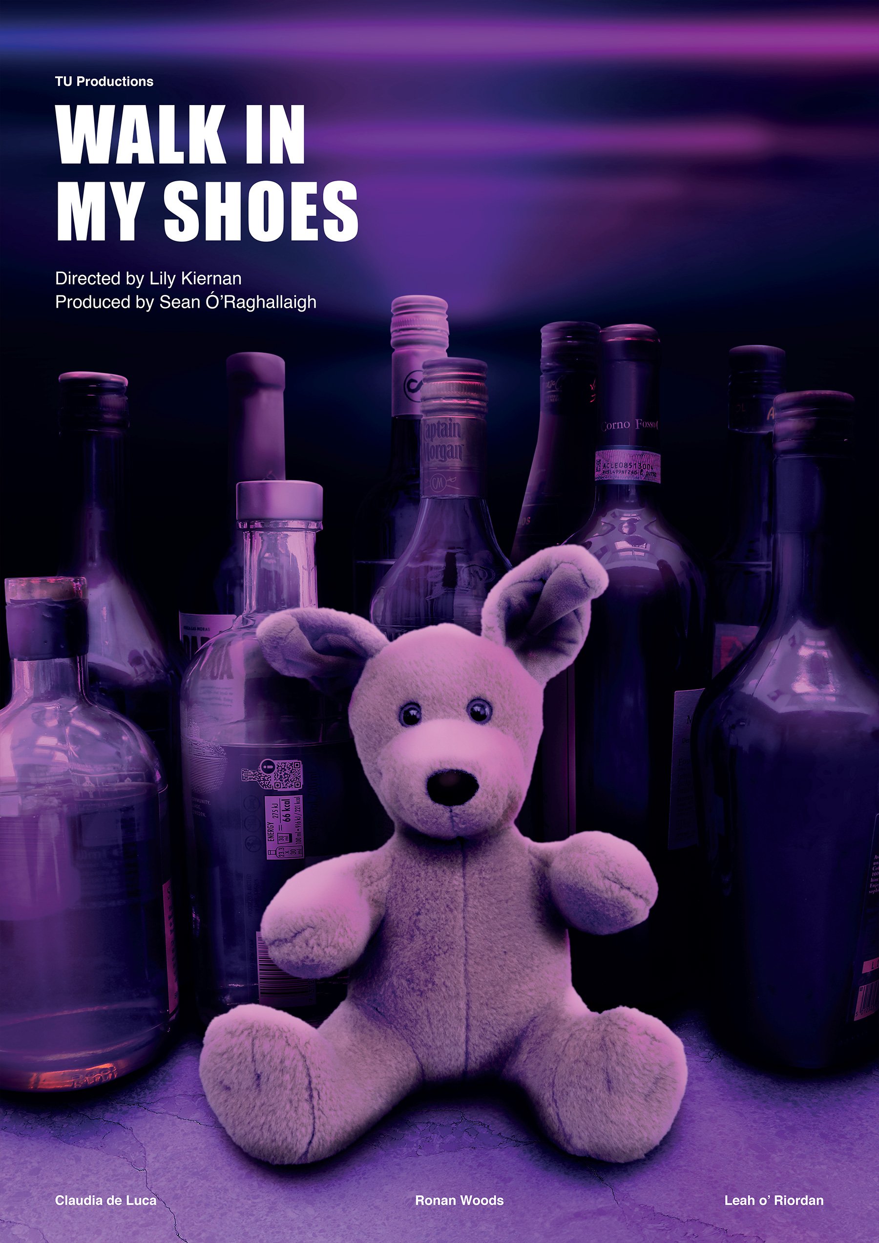 Walk In My Shoes Designed by Aoife Roche.