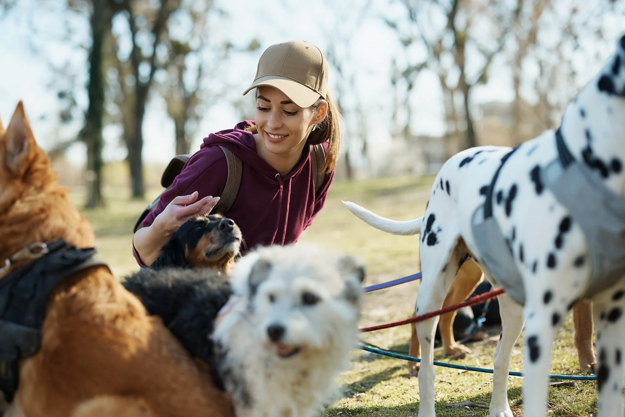 Quanto costa un dogsitter?&nbsp;