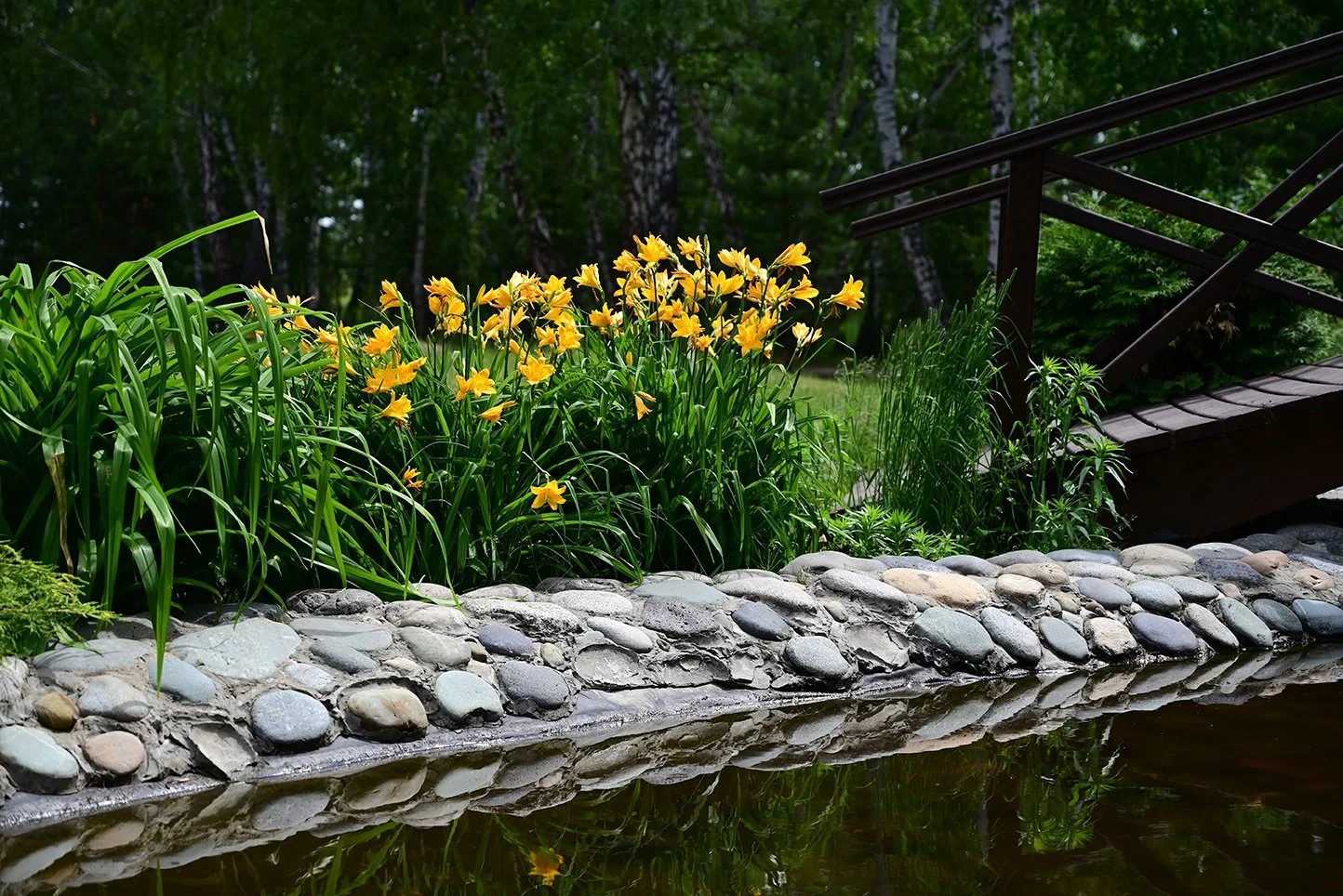 Tutto ciò che c'è da sapere sui laghetti da giardino
