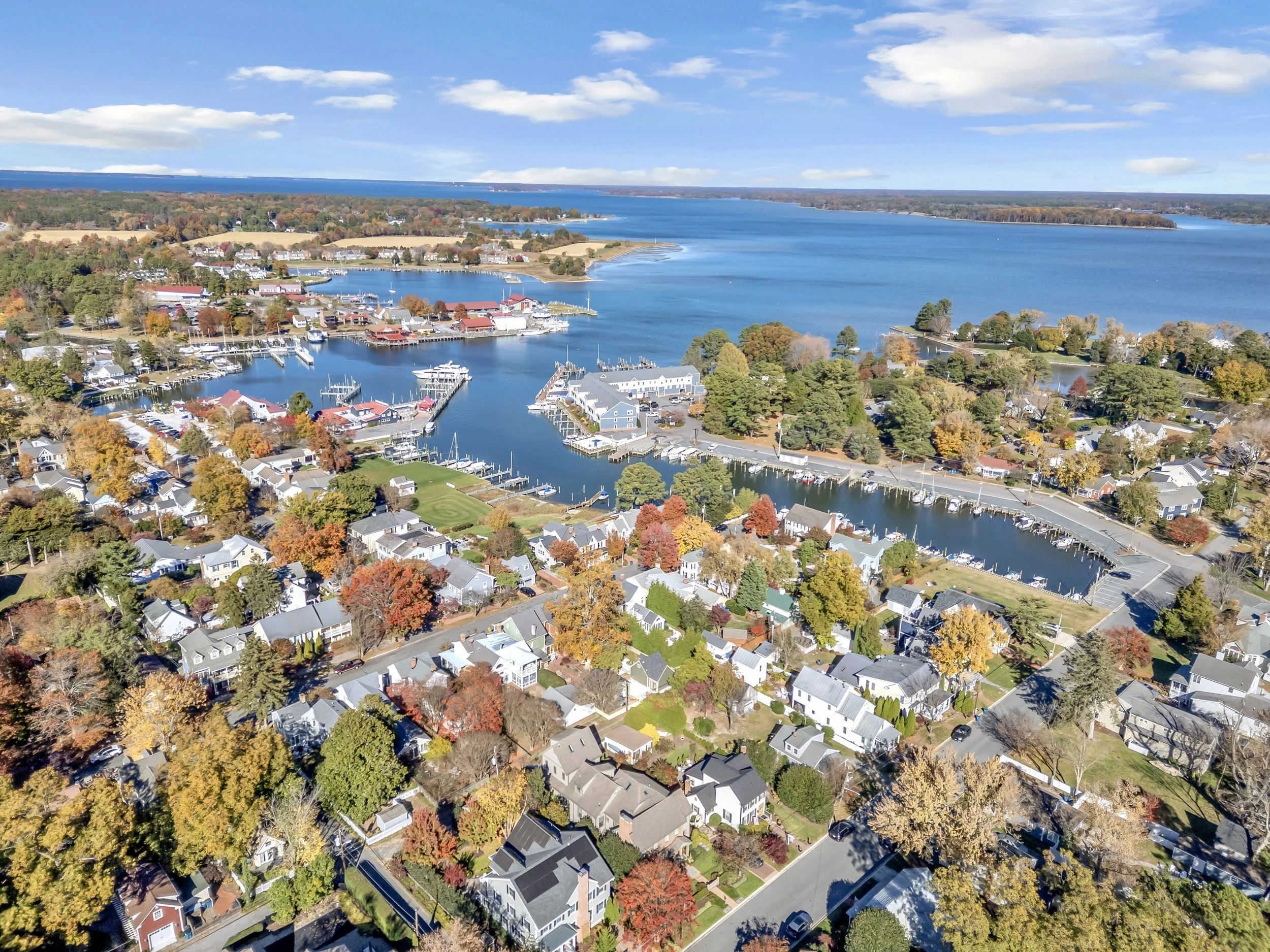 Photo Nov 06 2025, 13 26 02.jpg