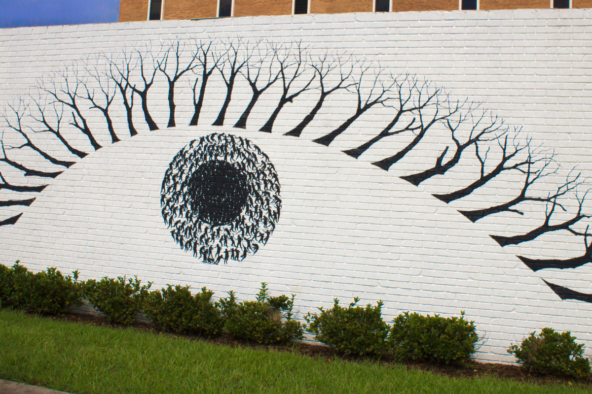 Central Park & Downtown Murals
