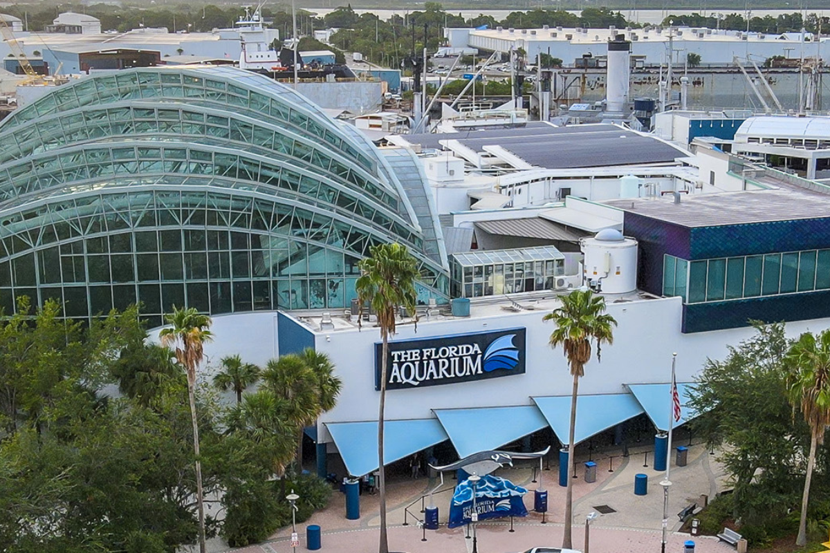 The Florida Aquarium