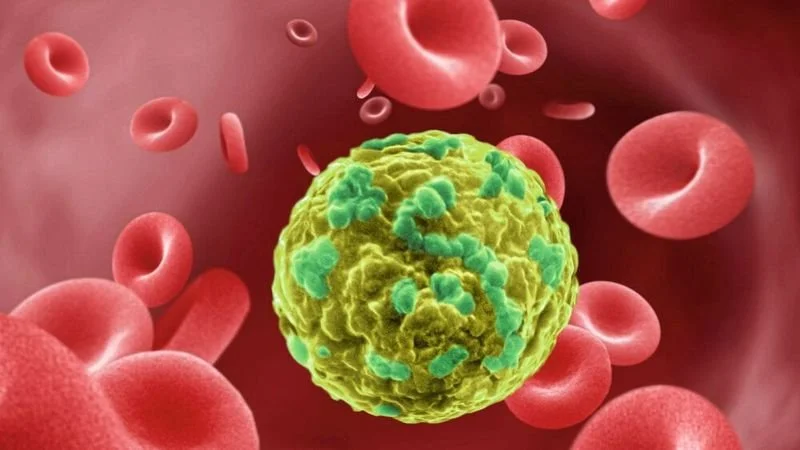 Präzise Krebstherapie durch Deep Learning