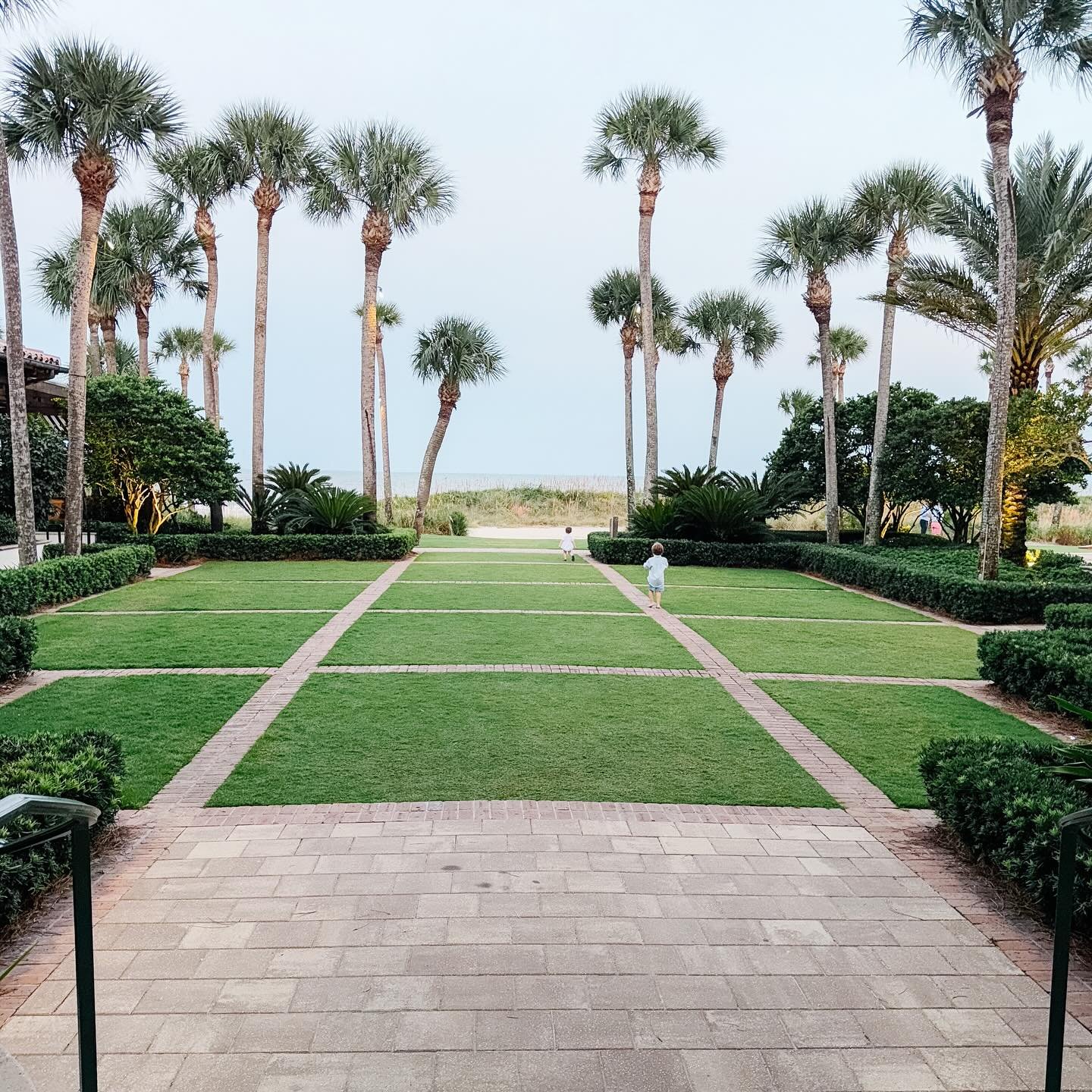 Sea Island September🐚