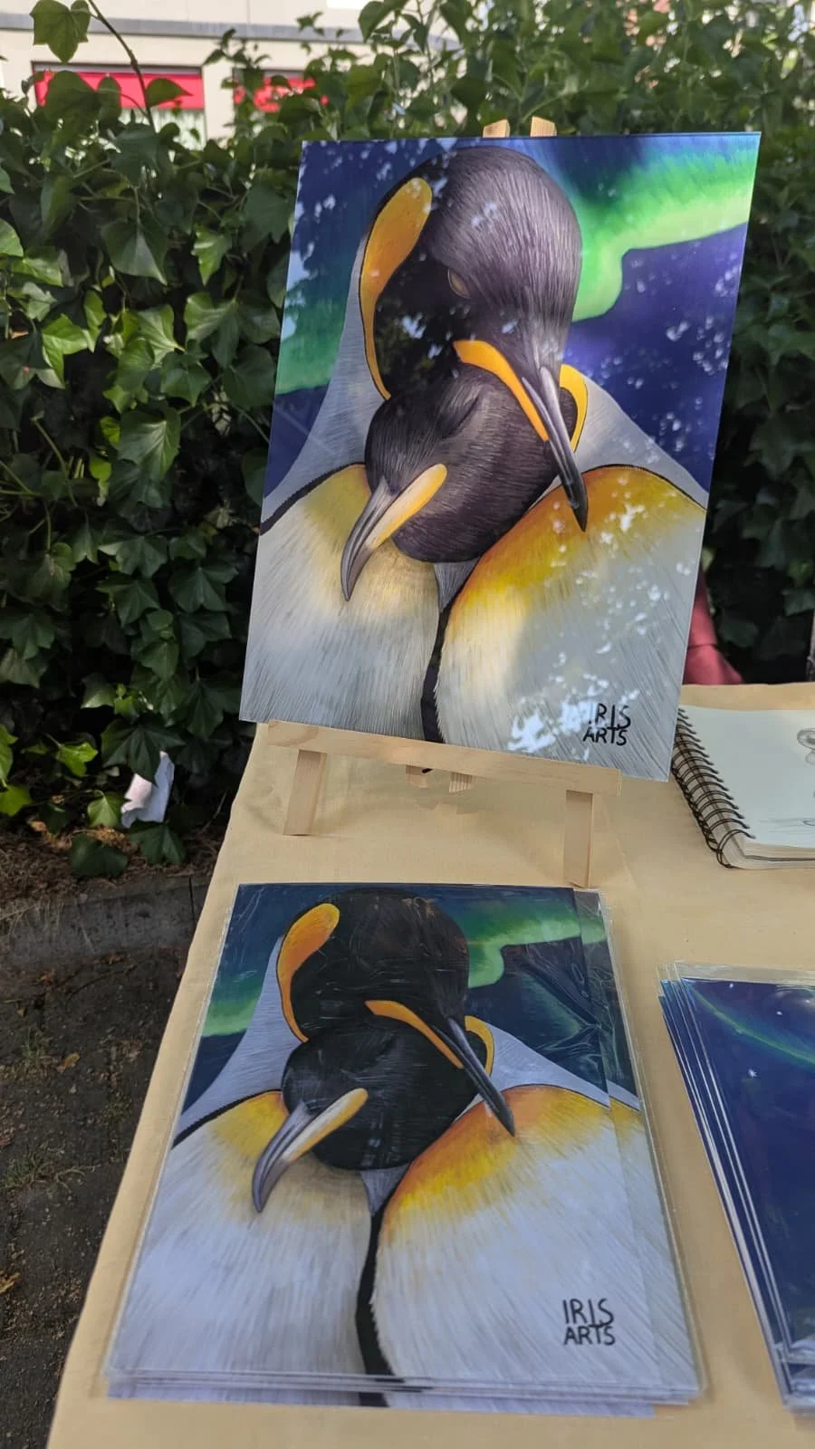 Iris Arts