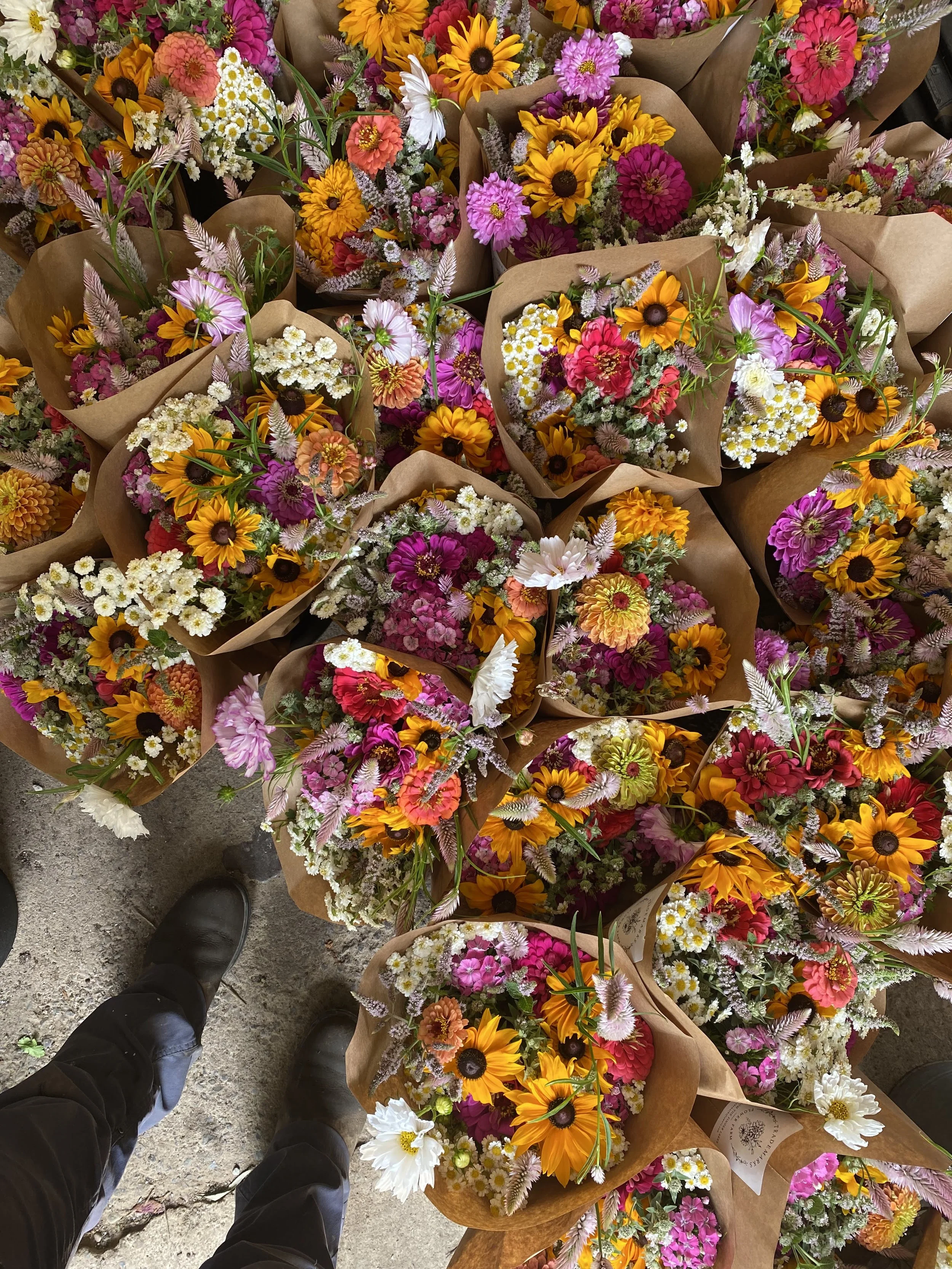How to increase off-season sales with a CSA sales launch (SFFF78)