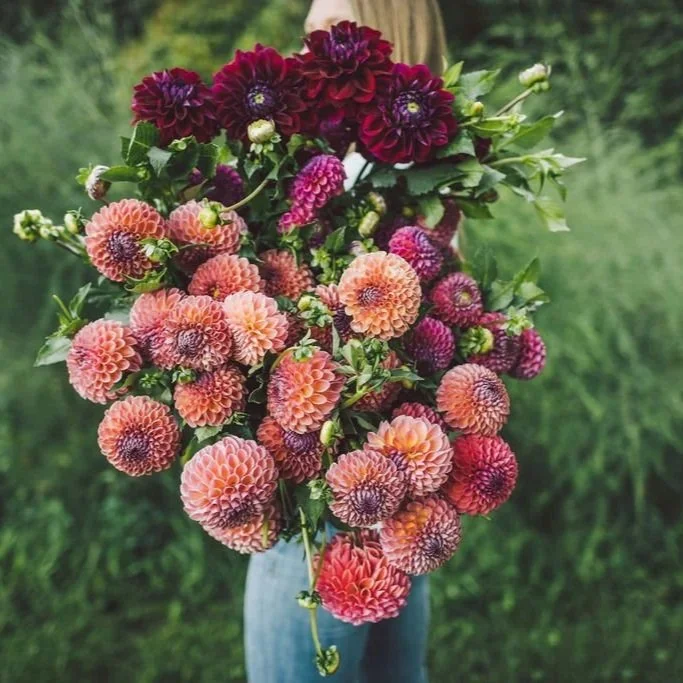 5 Things To Focus On To Make 2026 Your Best Year Yet (SFFF83)