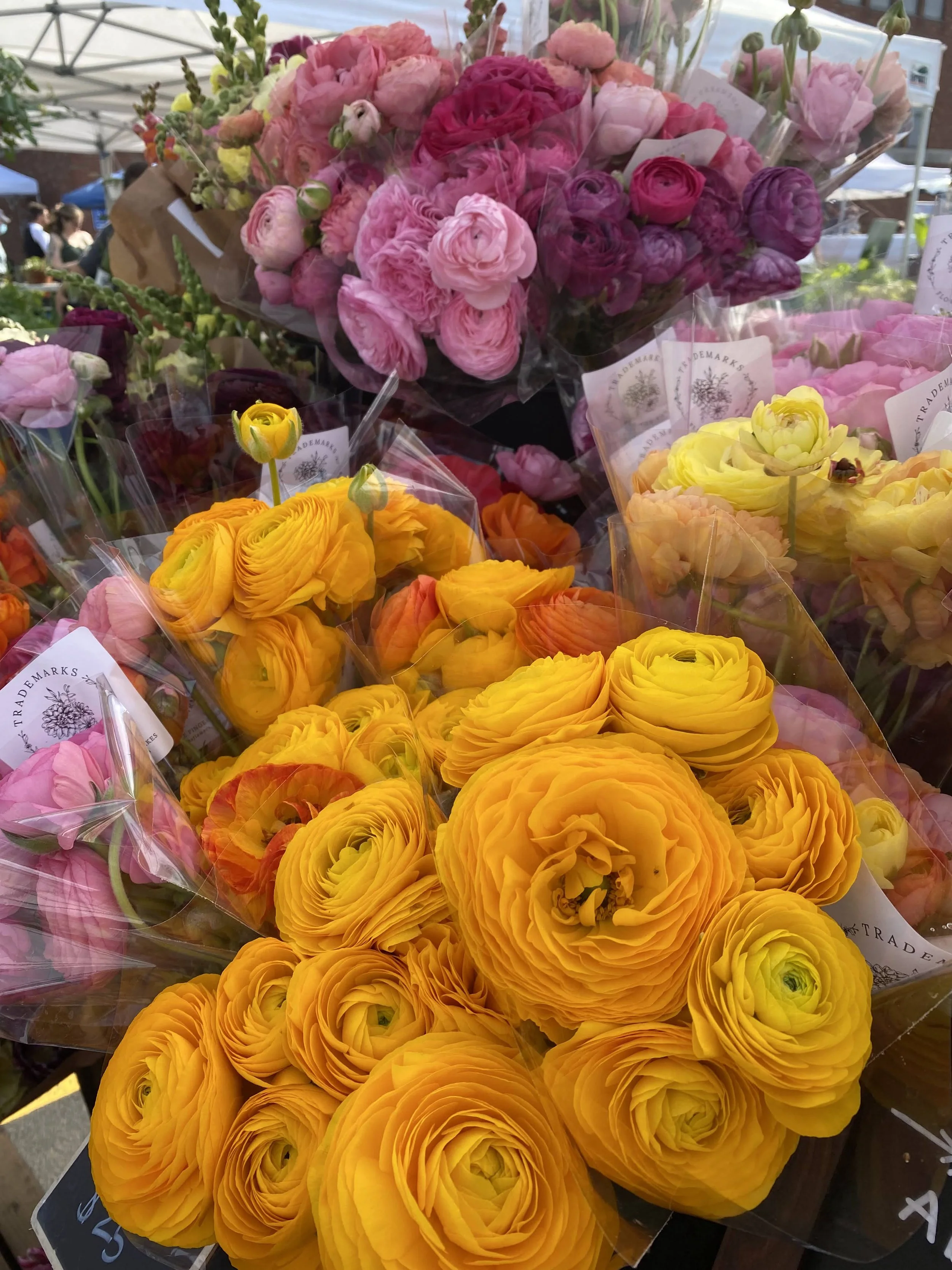 Your Mixed Bouquet Recipes Are Probably Too Complicated (And What To Do Instead) (SFFF97)