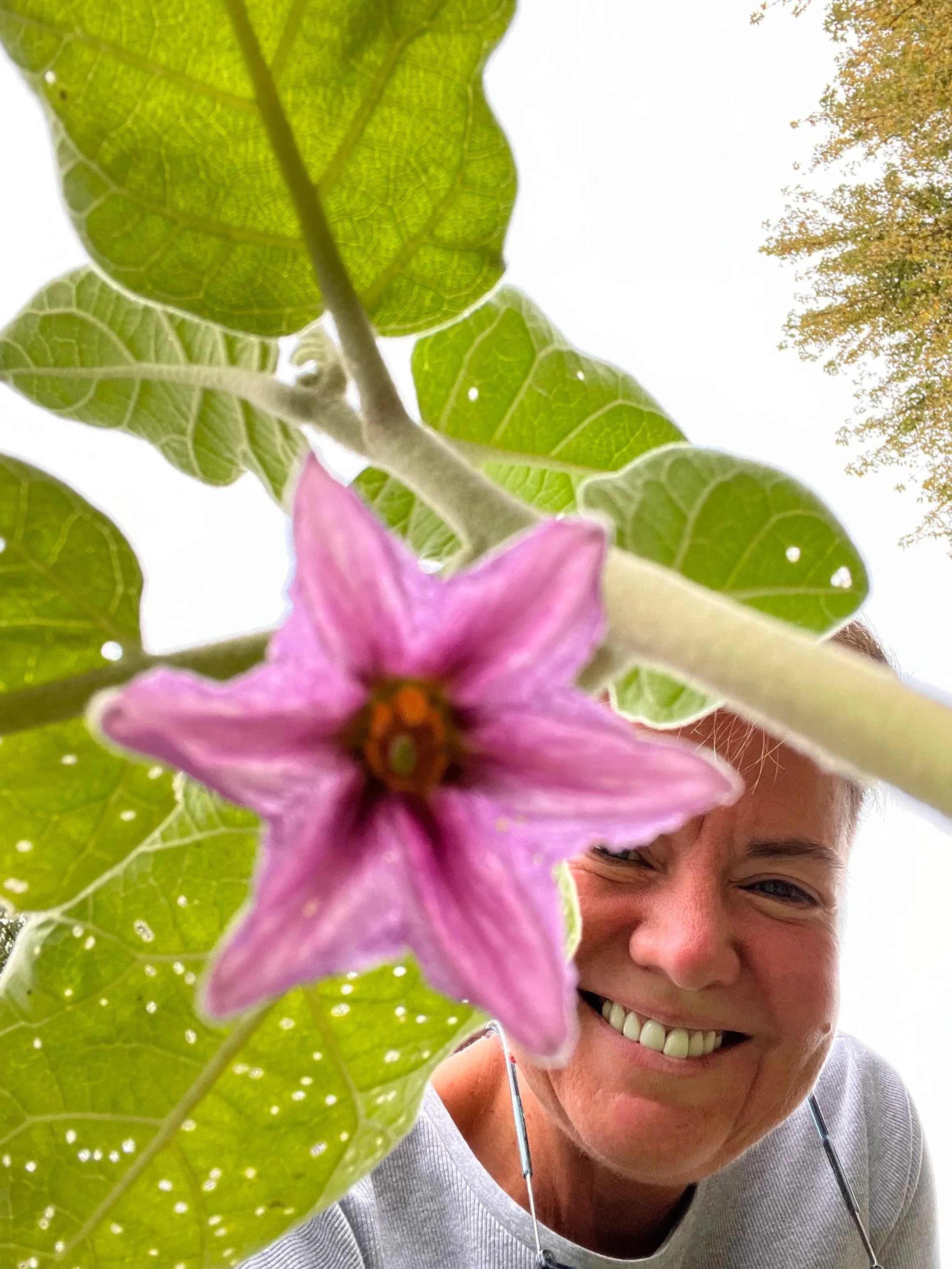 “This program took the things I don’t love doing and streamlined them for me.”