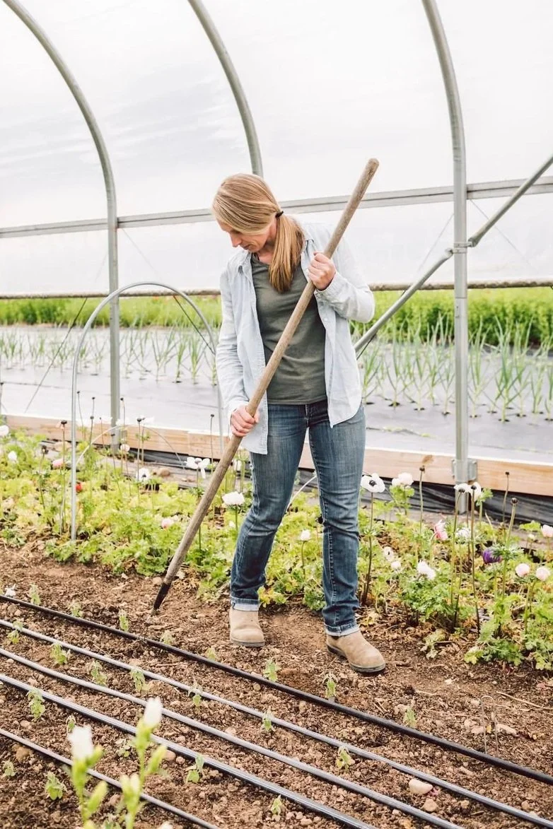 Jenny Marks, flower farmer and host of the Six Figure Flower Farming Podcast, preps soil with a long-handled tool in a hoop house with drip irrigation and young flower plants.