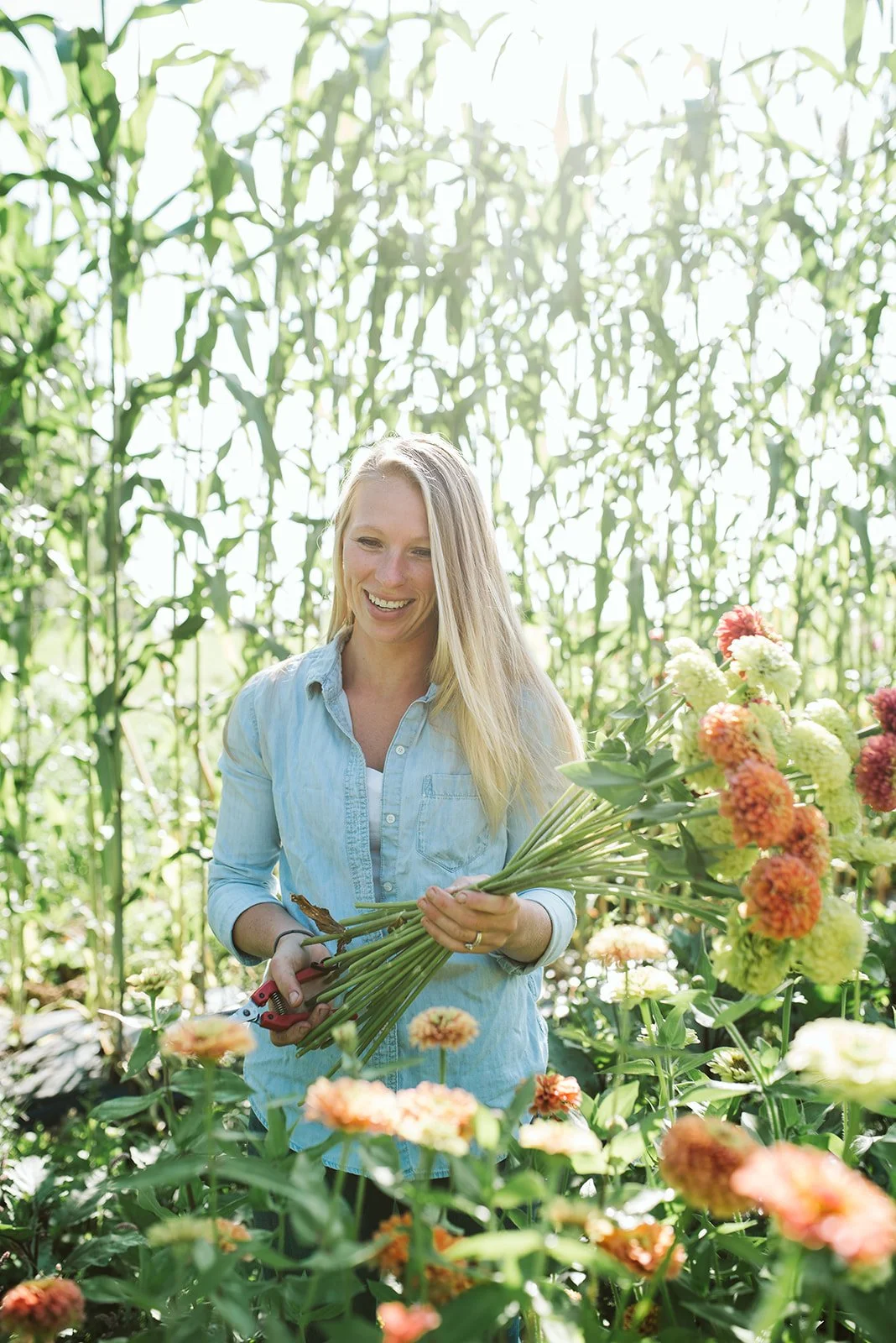 Jenny Marks harvesting zinnias on her flower farm, holding a bouquet of freshly cut blooms in a sunny field, representing lessons learned from growing a six-figure flower business.