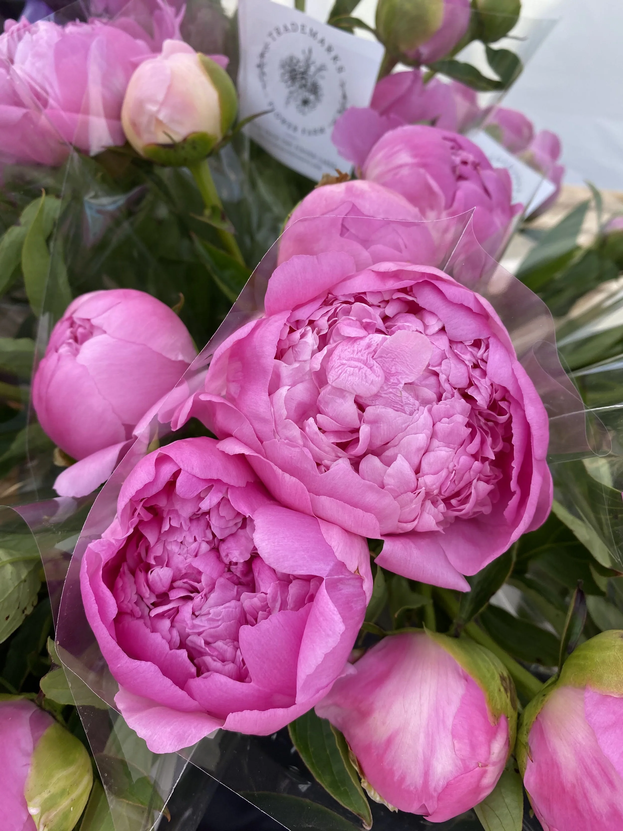 Pink Peonies in a clear floral wrap for sale at a farmers market. Learn 5 ways to increase your cut flower farm's revenue this month