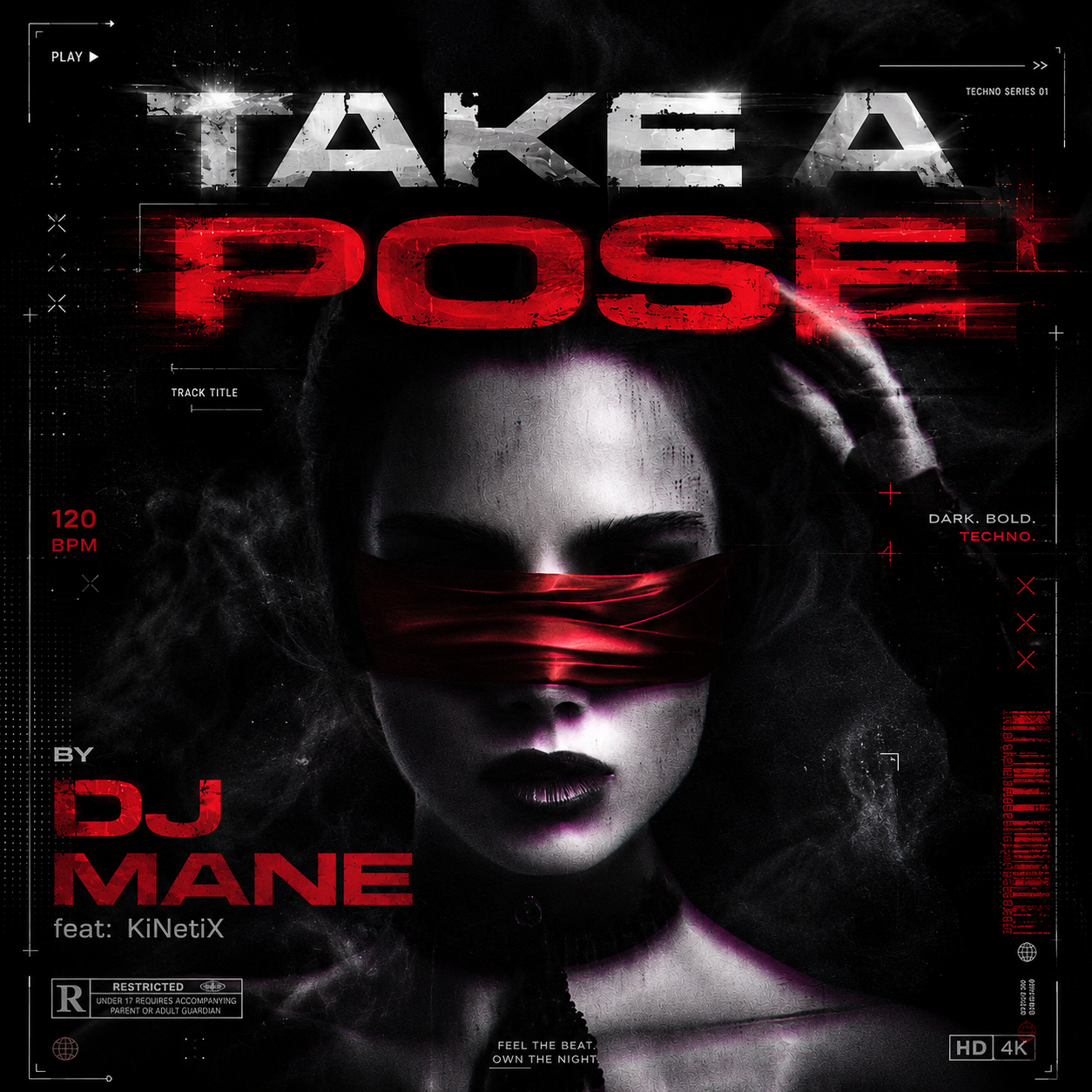 Take A Pose by DJ MANE.PNG