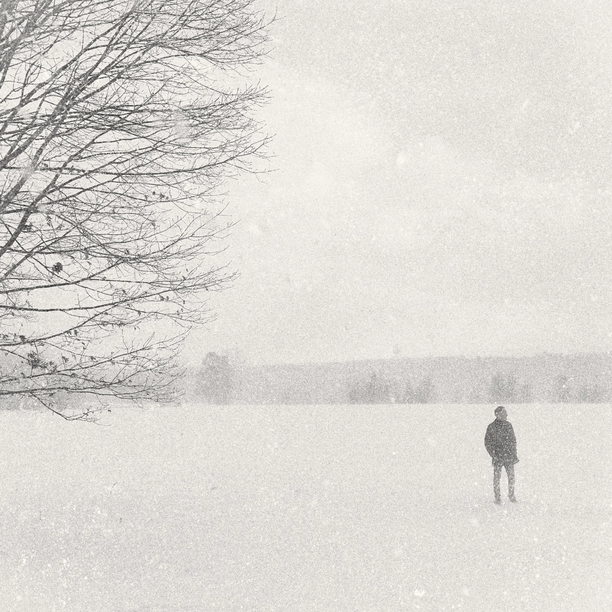 Person standing in a snowy landscape with bare tree branches, amidst gentle snowfall.