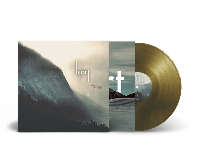 im3v Vinyl Record PSD MockUp transparent small.png