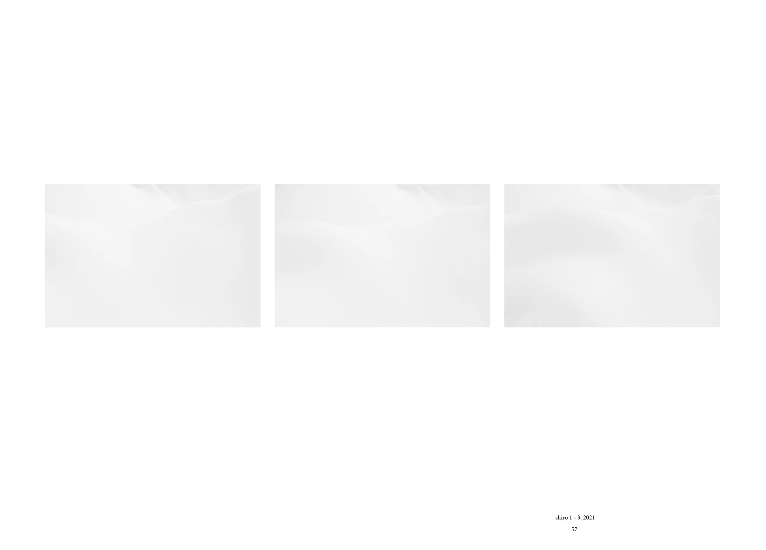 Ruikudo 2019-202429.jpg