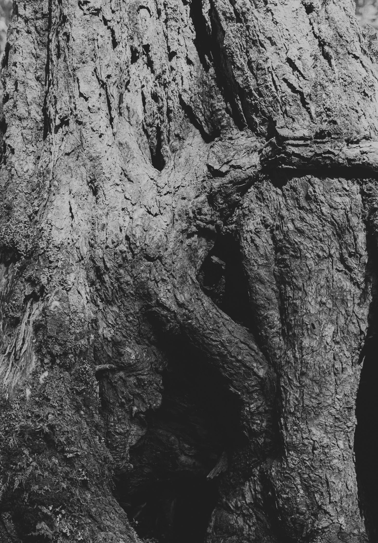 Ruikudo 2019-202448.jpg