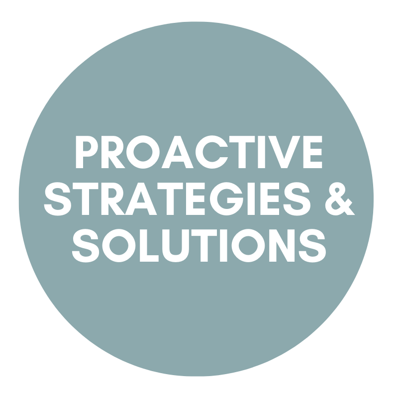 Proactive Strategies &amp; Solutions